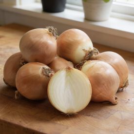 Walla Walla Sweet, Onion Seeds